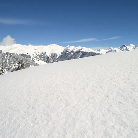 Pierre & Premium Les Du Forum 4*